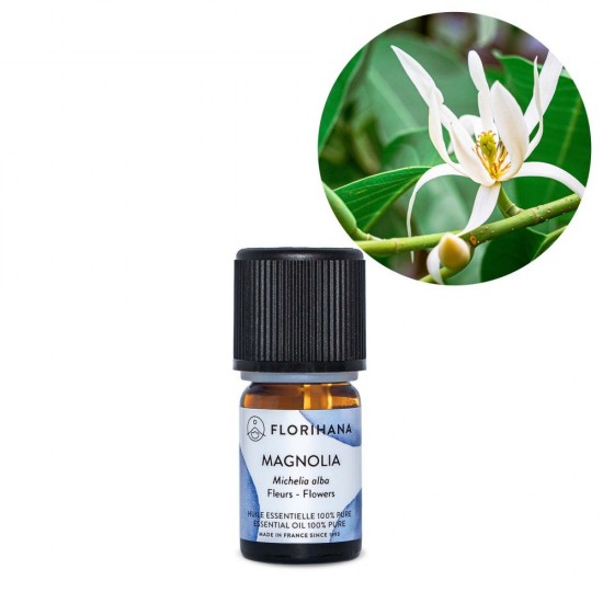Magnolie